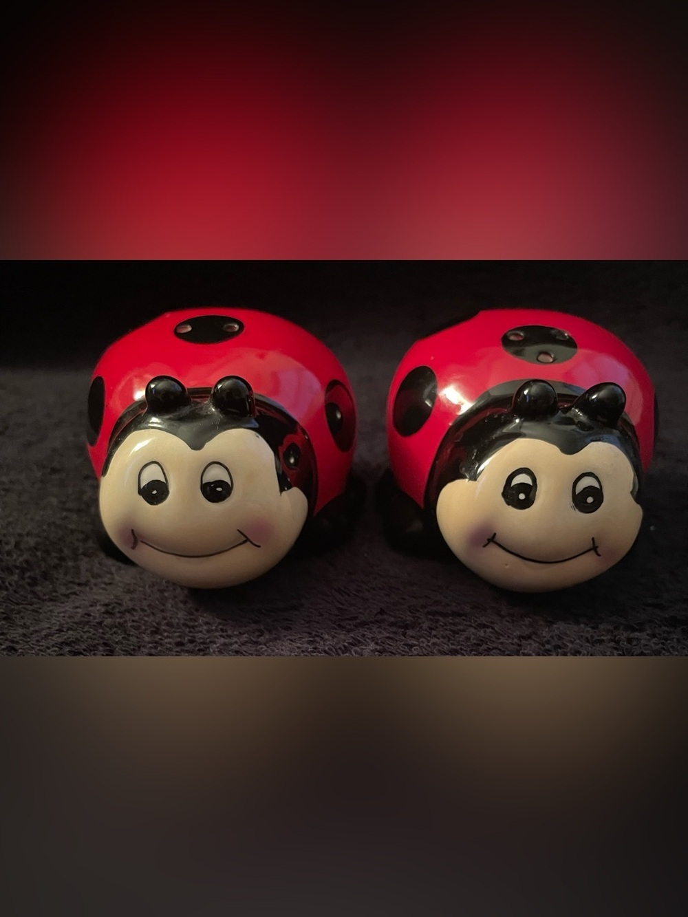 New Burton & Burton Red and Black Ladybug Salt&Pepper Shakers